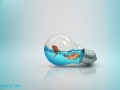 Fish in a Bulb